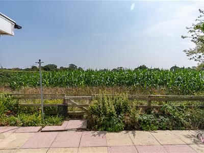 Picture 24